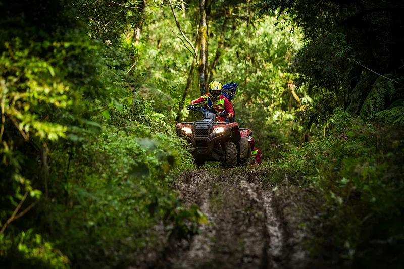 How to Choose an ATV That Your Whole Family Will Love