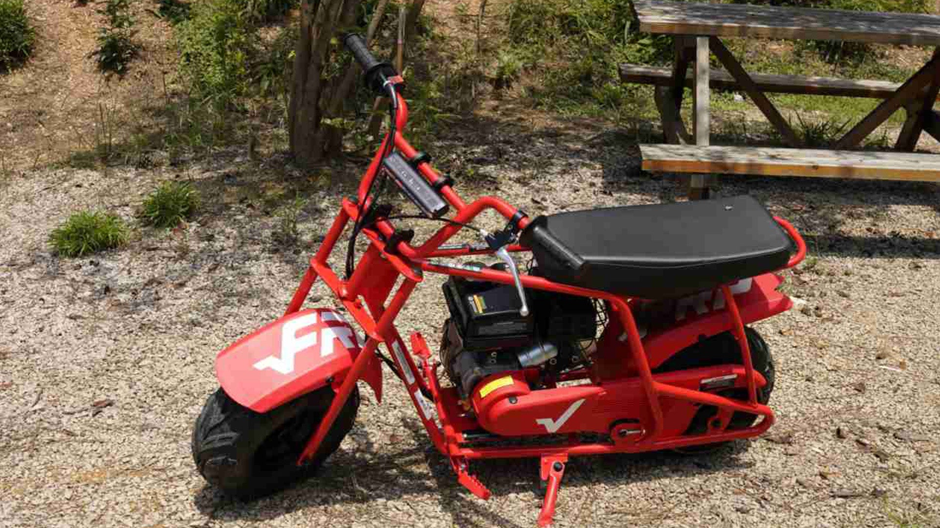 A GMB100 mini bike is in the forest.