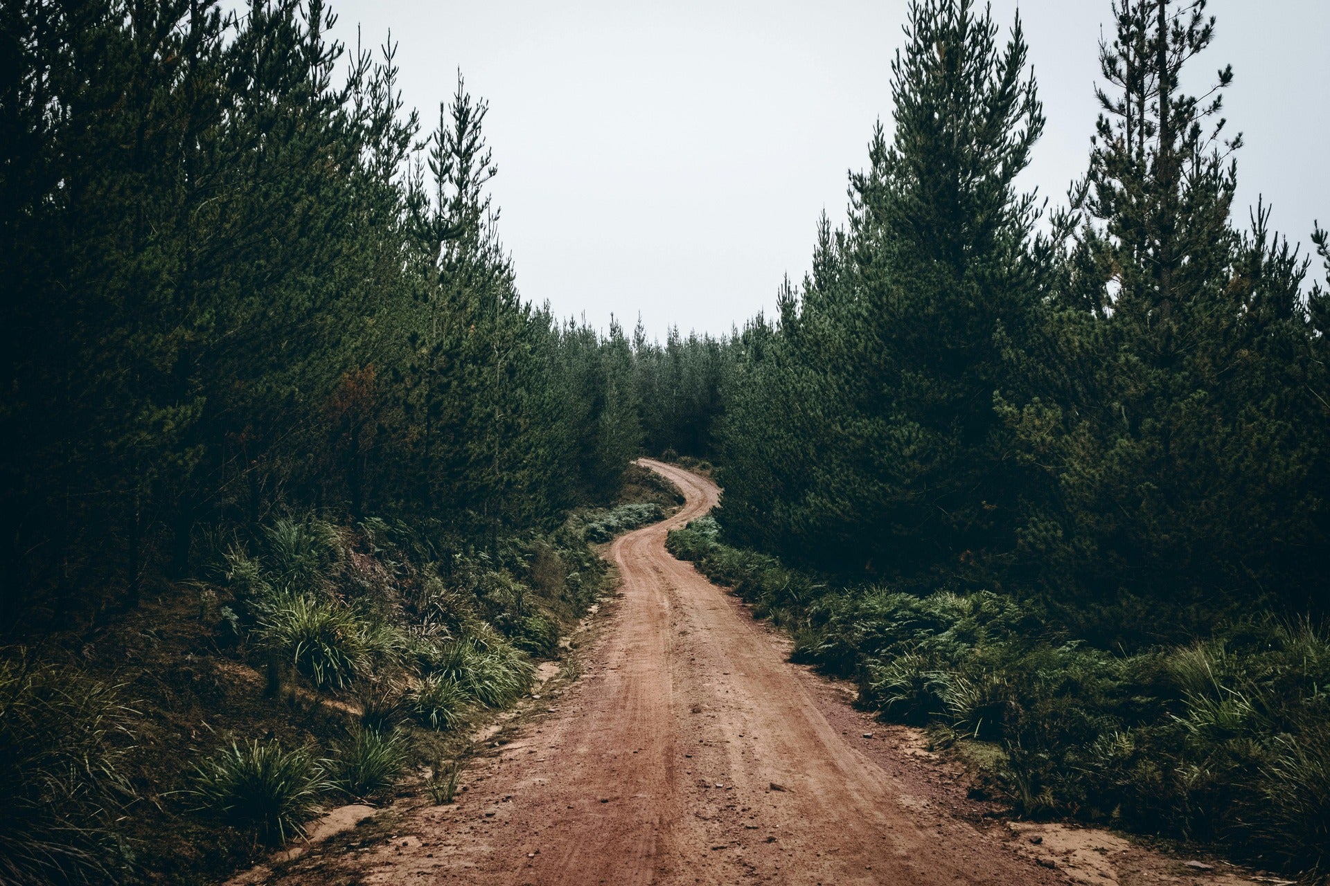  Mini Bike Trail 