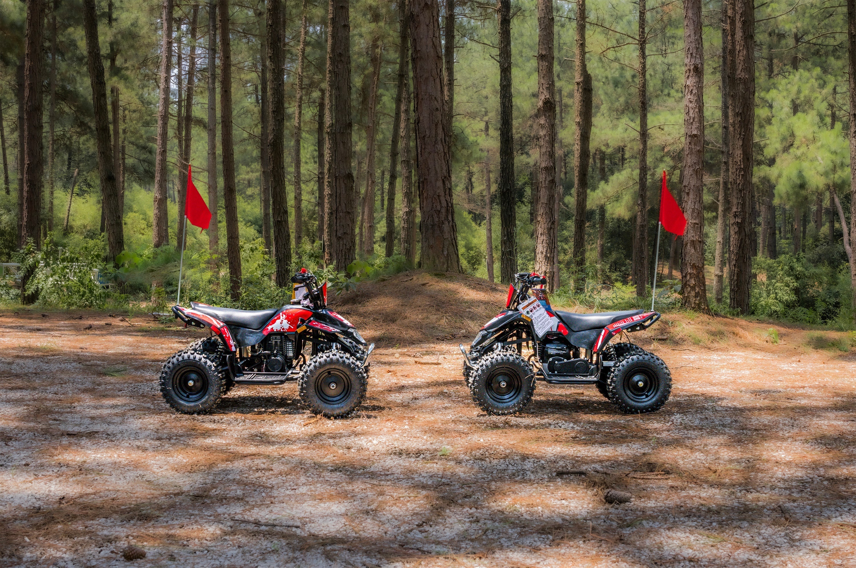 Two FRP Sahara 40 Mini Quads are in the forest.