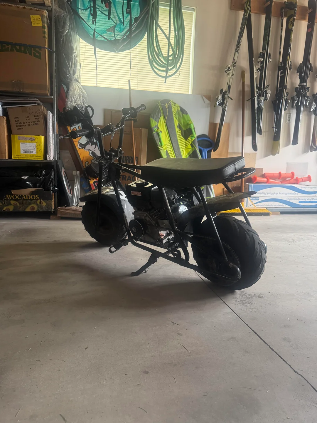 Gas Mini Rocker Gas Mini Bikes Under $1000: Complete Buyer's Guide – FRP Official Site
