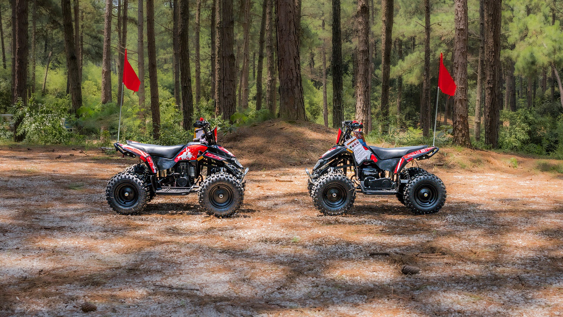 2 Sahara 40 mini quad are in the forest,