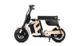 FRP M3 Electric Mini Bike