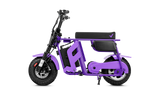 FRP M3 Electric Mini Bike