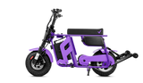 FRP M3 Electric Mini Bike