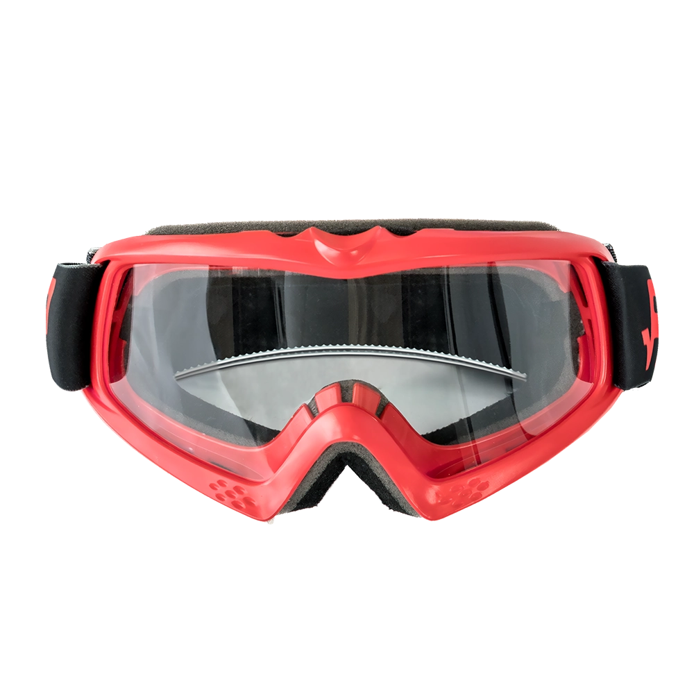 Professional Riding Goggles