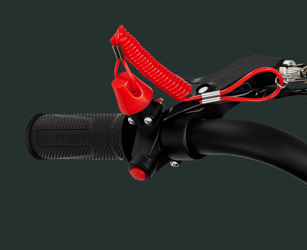 Emergency Kill Switch - Enhanced Protection